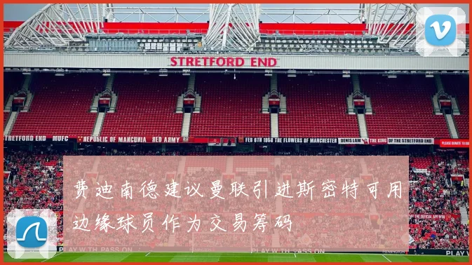 费迪南德建议曼联引进斯密特可用边缘球员作为交易筹码