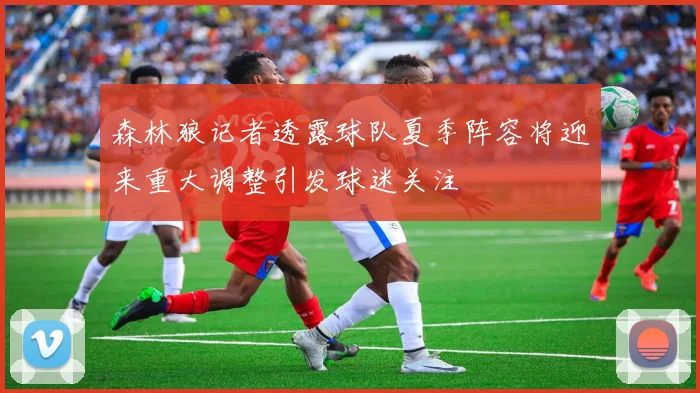 森林狼记者透露球队夏季阵容将迎来重大调整引发球迷关注