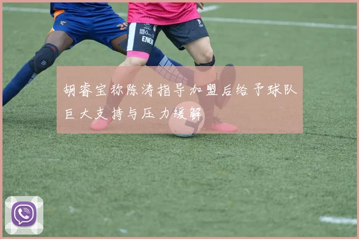 胡睿宝称陈涛指导加盟后给予球队巨大支持与压力缓解